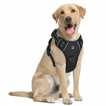 Wertfell® Pro-Kontroll Geschirr